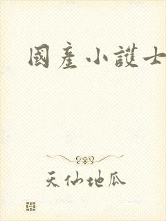国产小护士av