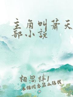 主角叫萧天的全部小说