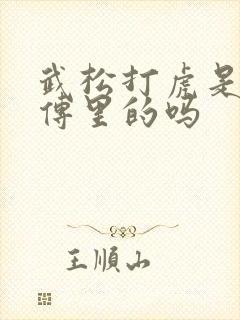 武松打虎是水浒传里的吗