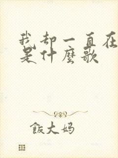 我却一直在等你是什么歌