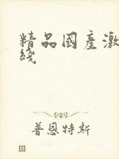 精品国产激情在线