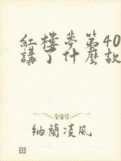 红楼梦第40回讲了什么故事