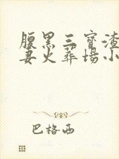 腹黑三宝渣爹追妻火葬场小说完整版