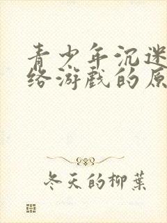 青少年沉迷于网络游戏的原因及对策