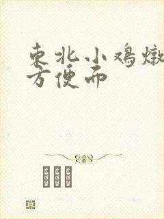 东北小鸡炖蘑菇方便面