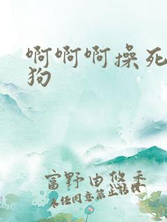 啊啊啊操死小母狗