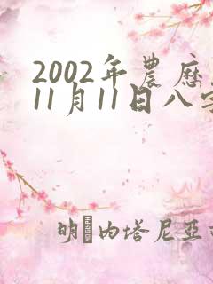 2002年农历11月11日八字算命