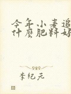今年小麦追肥用什么肥料好