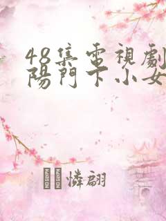 48集电视剧正阳门下小女人
