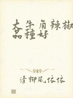 大牛角辣椒什么品种好 大牛角辣椒什么品种好