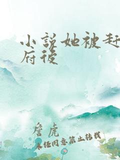 小说她被赶出侯府后 小说她被赶出侯府后