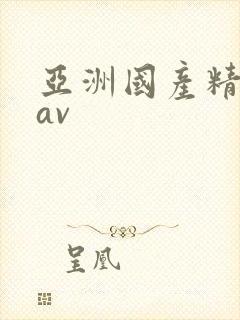 亚洲国产精品八av