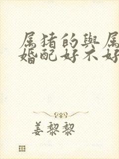 属猪的与属兔的婚配好不好
