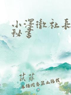 小泽彻社长人妻秘书