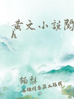黄文小说阅读高h