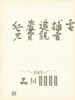 红岩追捕电视剧免费观看