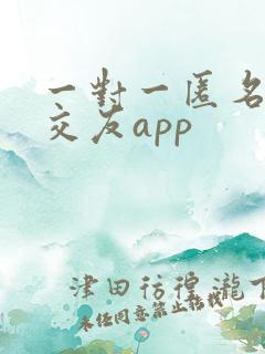 一对一匿名聊天交友app