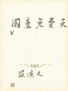国产免费天美av