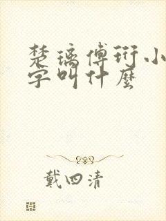 楚璃傅珩小说名字叫什么