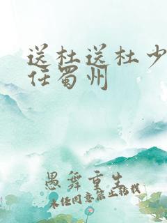 送杜送杜少府之任蜀州