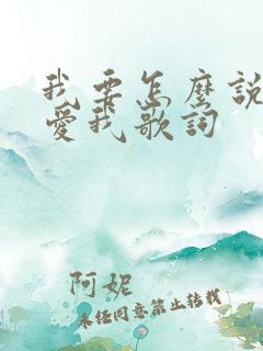 我要怎么说你才爱我歌词