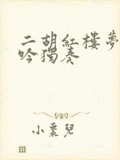 二胡红楼梦葬花吟独奏