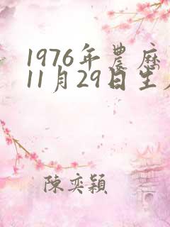 1976年农历11月29日生辰八字