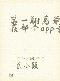 第一驸马爷短剧在哪个app看