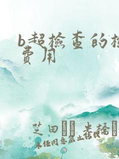b超检查的检查费用
