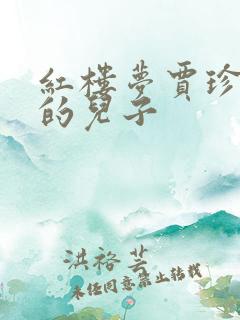 红楼梦贾珍是谁的儿子