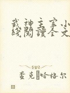 武神主宰小说在线阅读全文 武神主宰小说在线阅读全文