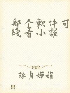 哪个软件可以离线看小说