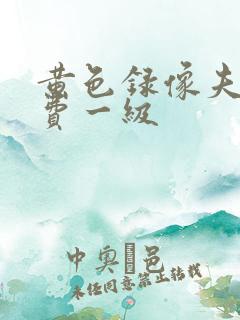 黄色录像夫妻免费一级