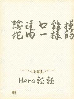 阴道口能摸到一坨肉一样的