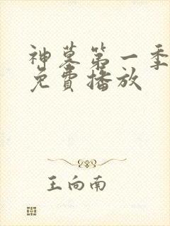 神墓第一季高清免费播放