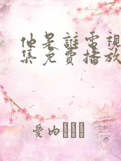 他是谁电视剧全集免费播放 他是谁电视剧全集免费播放