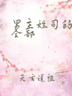 男主姓司的小说全部