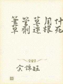 笔管草用什么除草剂连根死 笔管草用什么除草剂连根死
