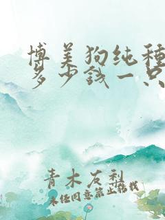 博美狗纯种价格多少钱一只 博美狗纯种价格多少钱一只