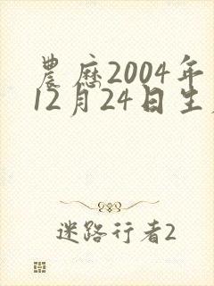 农历2004年12月24日生辰八字 农历2004年12月24日生辰八字