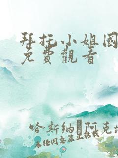 拜托小姐国语版免费观看