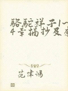 骆驼祥子1~24章摘抄及感悟100字