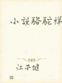 小说骆驼祥子