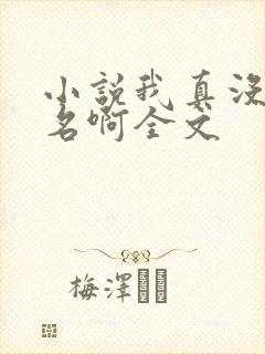 小说我真没想出名啊全文 小说我真没想出名啊全文