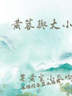 黄蓉与大小武