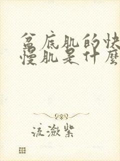 盆底肌的快肌和慢肌是什么
