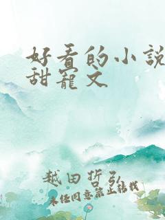 好看的小说短篇甜宠文 好看的小说短篇甜宠文