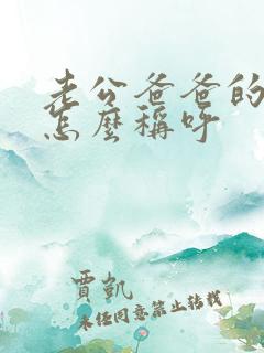 老公爸爸的妹妹怎么称呼