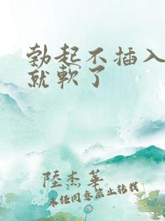 勃起不插入很快就软了 勃起不插入很快就软了
