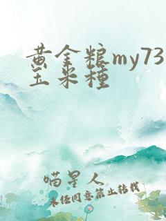 黄金粮my73玉米种